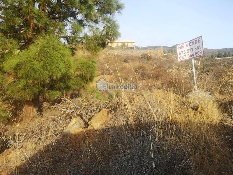 Foto cc12d322-9404-4ffd-af49-45c85dc0b295. Terreny residencial a Arafo