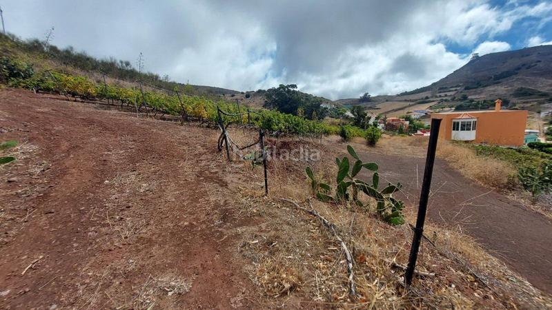 Foto 25ddf388-3915-42f7-b2bb-c19aab37d8ff. Casale in Vega Lagunera San Cristóbal de La Laguna