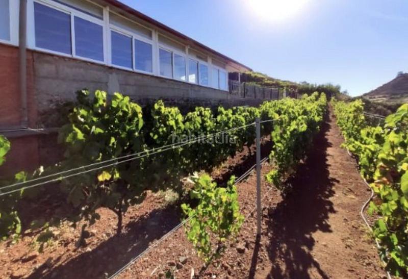 Foto 43841184-f608-4151-8f4e-d44dbee8fa0c. Casale in Vega Lagunera San Cristóbal de La Laguna