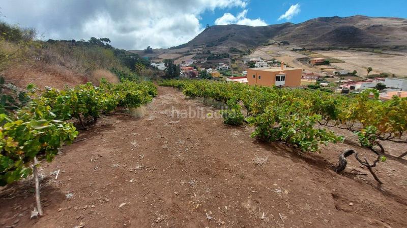 Foto 5ea05ad8-ddc0-49e0-b876-89c22a80405d. Casale in Vega Lagunera San Cristóbal de La Laguna