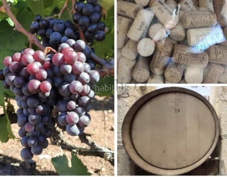 Foto 76b69839-41a6-4967-a25f-15bf119759d1. Casale in Vega Lagunera San Cristóbal de La Laguna