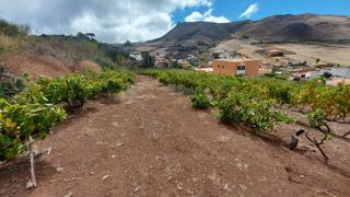 Masia en Vega Lagunera. Finca rst. en venta en las mercedes.