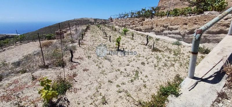 Foto 6f6d3a09-49a4-498a-a06b-78ef691312a9. Mas dans El Escobonal - Pájara Güímar
