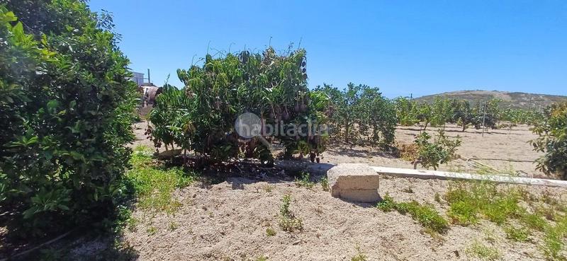 Foto 8c3afc28-b220-4a20-9a77-b0e1382f8854. Mas dans El Escobonal - Pájara Güímar