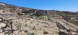 Masia  El escobonal. Finca rúst. en venta en el escobonal.