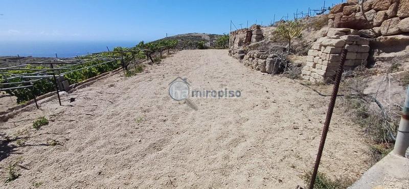 Foto b2fcf378-2184-4a12-91b6-40bb4fef088b. Mas dans El Escobonal - Pájara Güímar