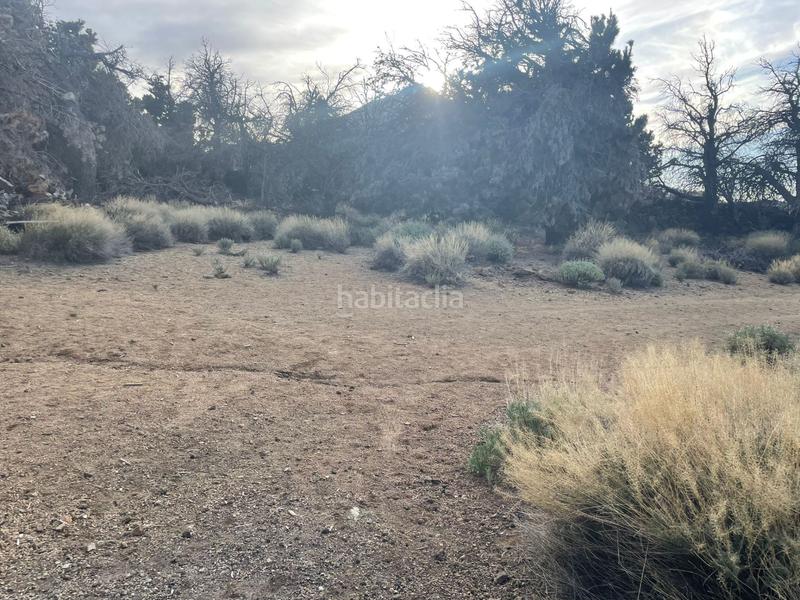 Foto a418fd3b-9787-40a7-9478-5974293ff19c. Casa in La Perdoma - San Antonio - Benijos Orotava (La)
