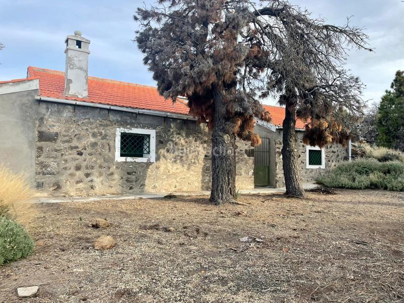 Foto da9b260d-a58c-4d54-8ffa-3650557ed9b7. Casa in La Perdoma - San Antonio - Benijos Orotava (La)