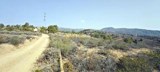 Finca rústica en Arico. Se vende gran finca rústica en los murriones  arico