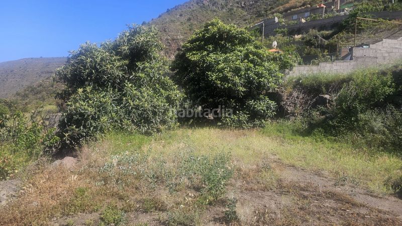 Foto 0315f35c-3d22-491d-bc1a-cbfb7367328d. Finca rústica a Centro Güímar