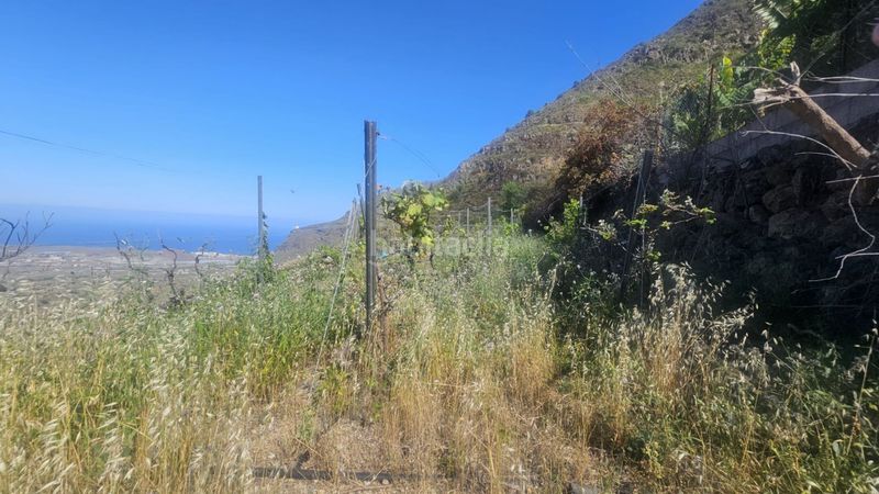 Foto 14013a50-fe86-4252-9714-4f433ad27235. Finca rústica a Centro Güímar