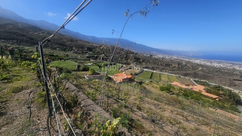 Foto 1cc74808-1f98-44d5-b612-02a8949afc75. Finca rústica a Centro Güímar