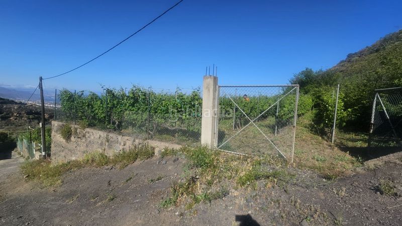 Foto 20f674d4-e011-4a93-9e5a-caca6f9c38d6. Finca rústica a Centro Güímar