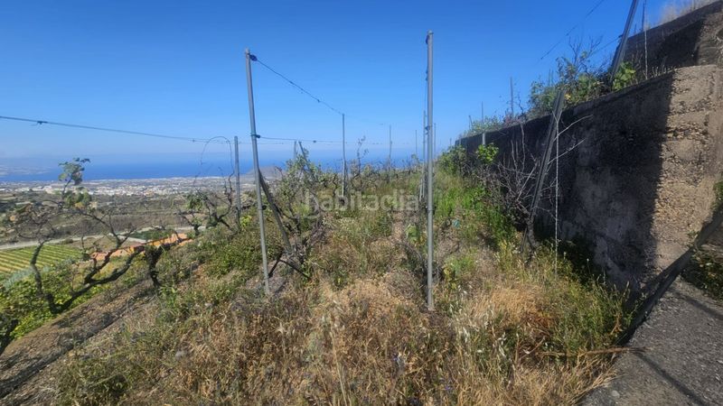 Foto 25cb9705-b4d1-40ec-9dc6-246ff798e030. Finca rústica a Centro Güímar