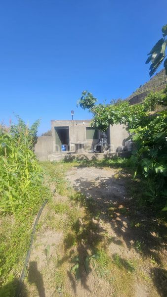 Foto 48ff50ab-347f-4b2c-a0e8-fc728bfdbc89. Finca rústica a Centro Güímar