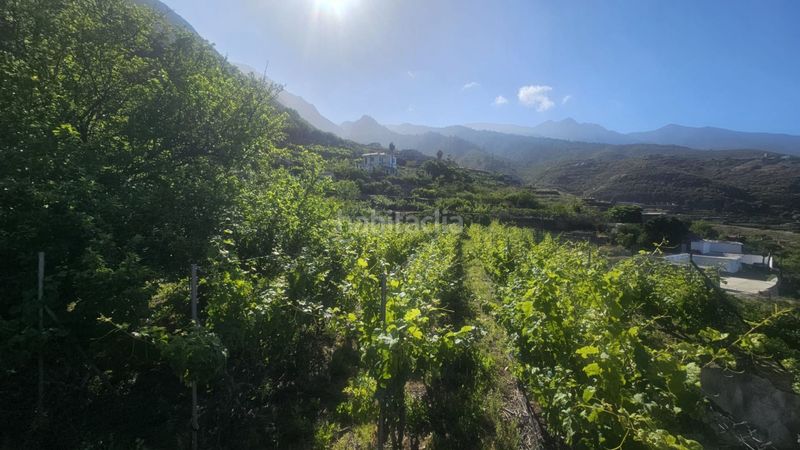 Foto 5ac686d6-e83f-49a0-9501-836133ae61ce. Finca rústica a Centro Güímar