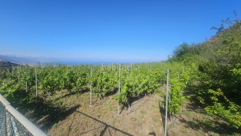 Foto 6803c5f6-b856-46e9-8108-98f32d24eac1. Finca rústica a Centro Güímar