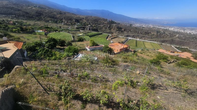 Foto 75d318f5-d586-4d9e-9622-07364c24c4f8. Finca rústica a Centro Güímar