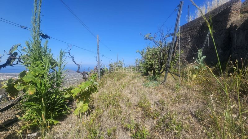 Foto 8fba609c-abc6-447e-9d5f-4b4ee93802a7. Finca rústica a Centro Güímar