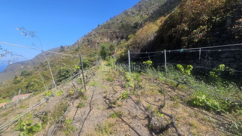 Foto 910ae2f0-54a0-4fa8-8229-9c0352a40159. Finca rústica a Centro Güímar