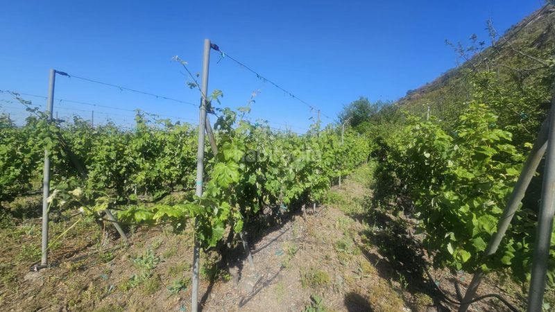 Foto ab1d320c-7f62-490f-aab8-3e3849d644b7. Finca rústica a Centro Güímar