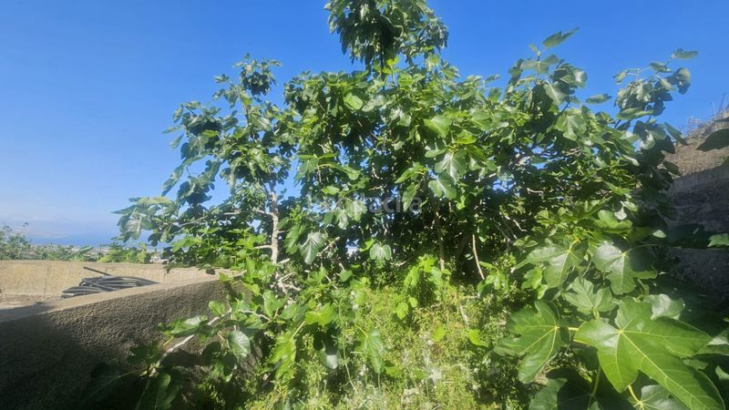 Foto af0c7bb3-52cf-46fa-97d6-d6656e62da95. Finca rústica a Centro Güímar