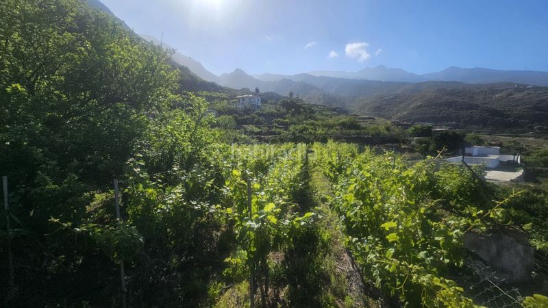 Foto c8f92d8b-eb85-4688-9342-ac19f95d6c9f. Finca rústica a Centro Güímar