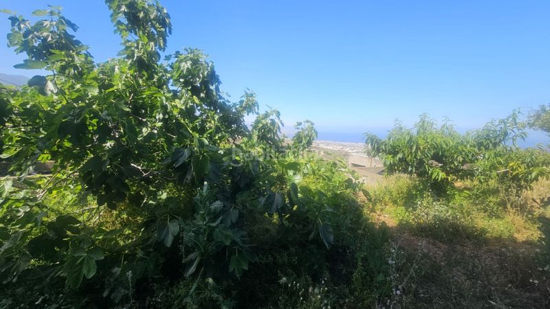 Foto cf85f737-2334-4db5-9e46-d8b4deea5e19. Finca rústica a Centro Güímar