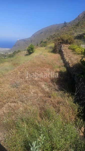 Foto cfcc3c1d-1d63-4730-8b34-b1036cb887b7. Finca rústica a Centro Güímar