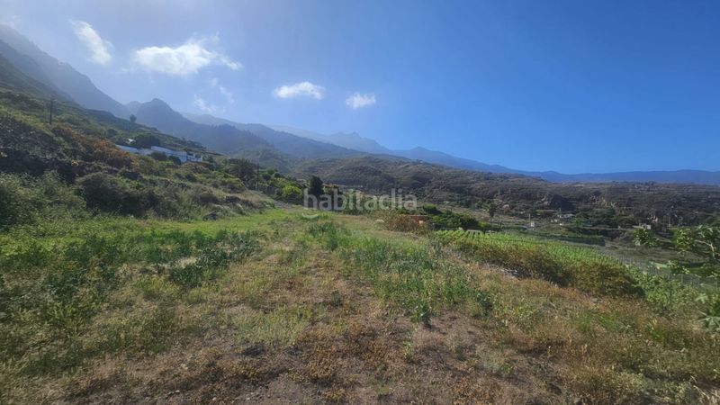 Foto daf6ec90-77e9-4bd3-a0b4-7933a2cb2461. Finca rústica a Centro Güímar