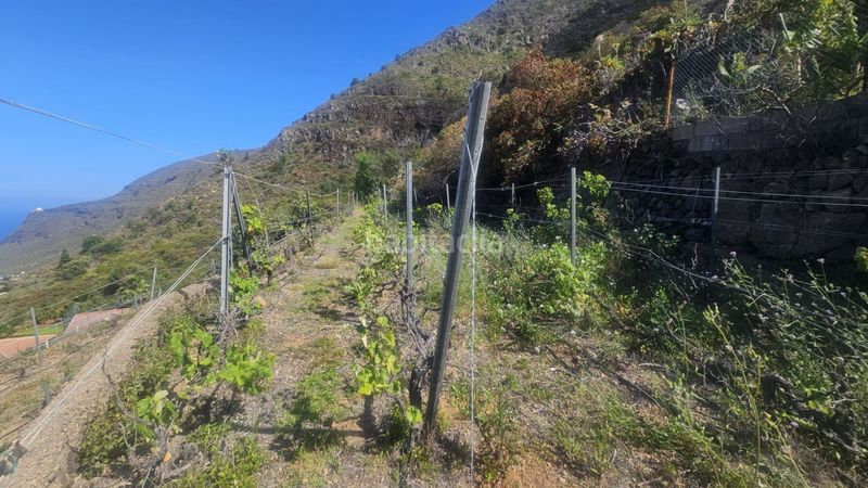 Foto de0454dc-4941-4f21-b821-3c3049be20f4. Finca rústica a Centro Güímar