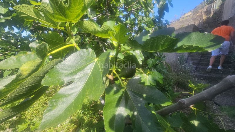 Foto e2767f5c-54df-4e84-be15-91311190cf1e. Finca rústica a Centro Güímar