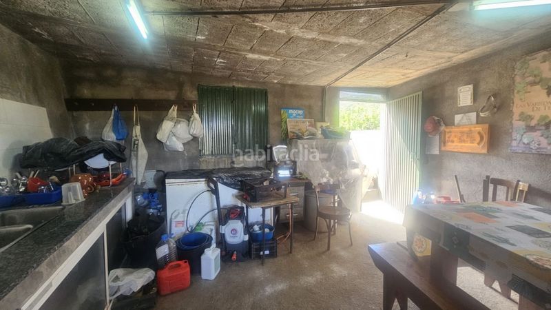 Foto e95324a4-f565-4ca4-8c0b-72f417258e62. Finca rústica a Centro Güímar