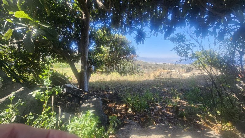 Foto e9905109-33e9-4833-a8e1-f3c772f9d54b. Finca rústica a Centro Güímar