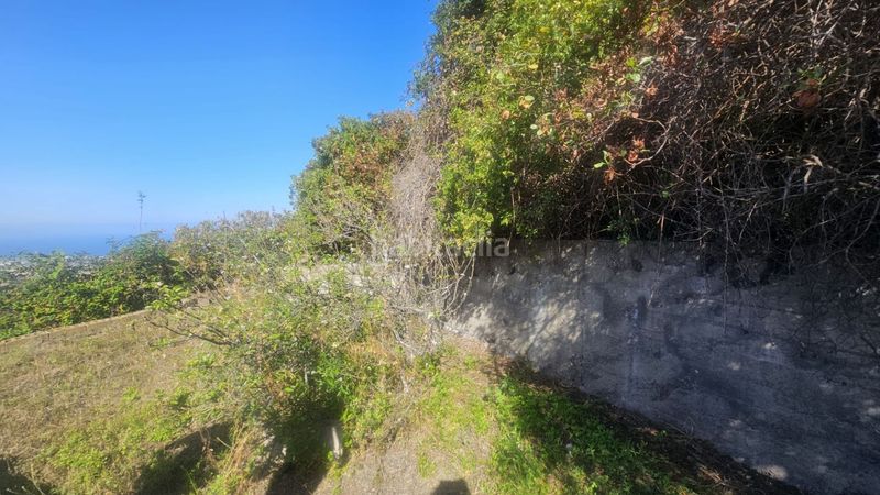 Foto f176d05b-cba3-4388-97af-0733526e4b2f. Finca rústica a Centro Güímar