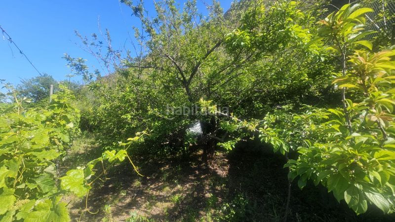 Foto fc2257ff-89d5-4e03-89b2-8fb26dac4075. Finca rústica a Centro Güímar