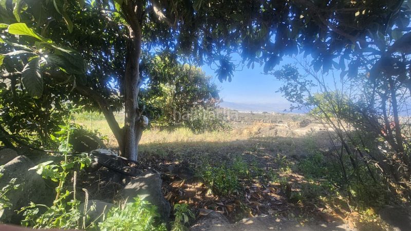 Foto ff95ad12-4cfb-4801-a53a-38bf1937cd4f. Finca rústica a Centro Güímar