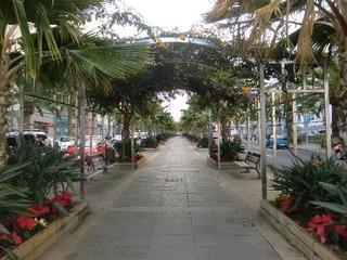 Lloguer Pis a Los Llanos - El Cabo. Piso en avenida tres de mayo
