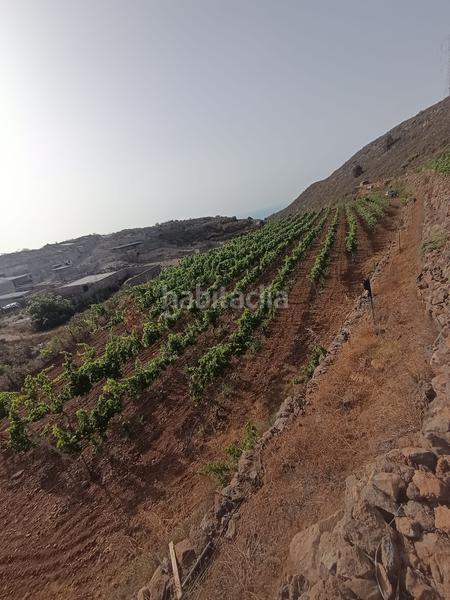 Foto 076062ce-349d-4c0a-9b37-0465d18daee3. Finca rústica a Arico