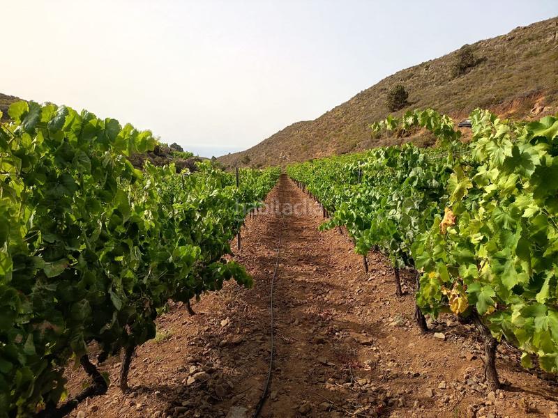 Foto 119769fc-2ff7-4474-bbcf-dcd57d0089d8. Finca rústica a Arico