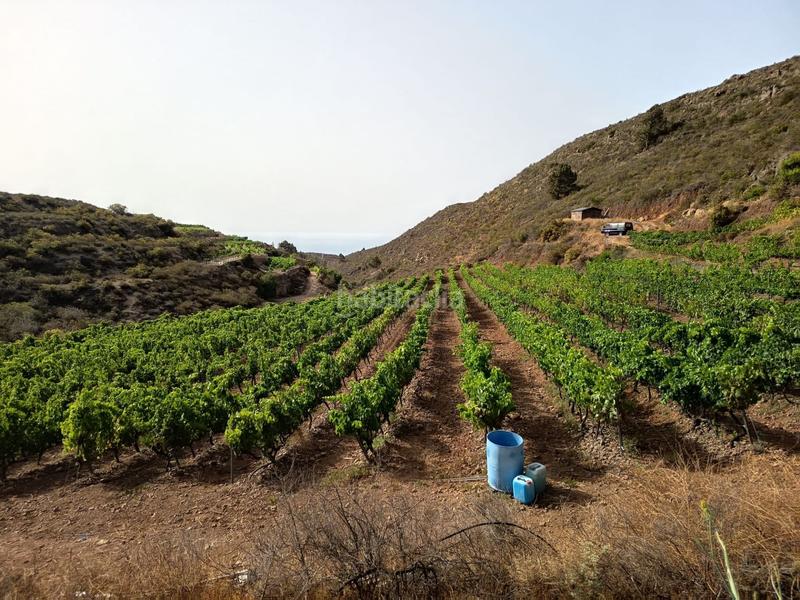 Foto 4614da20-ce2d-450e-91ec-27ee28f6bc58. Finca rústica a Arico