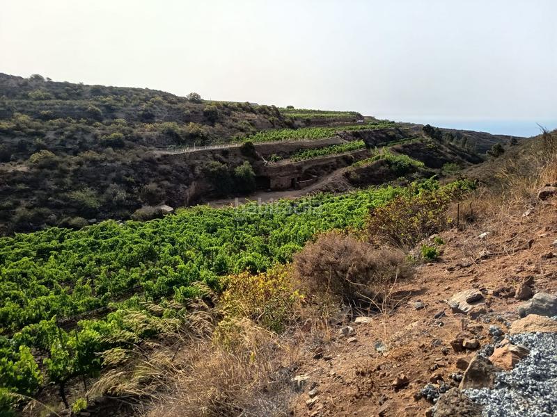 Foto 54dfc00d-d1fb-419e-8f1e-b5ca1743fed6. Finca rústica a Arico