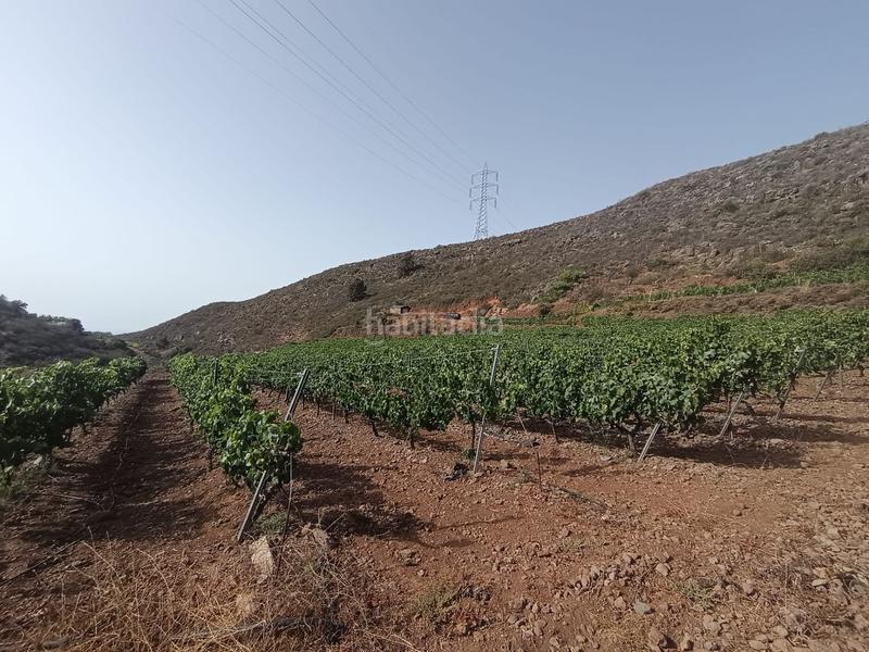 Foto 95580d7a-1c98-41ee-b93a-0482e8f4d641. Finca rústica a Arico