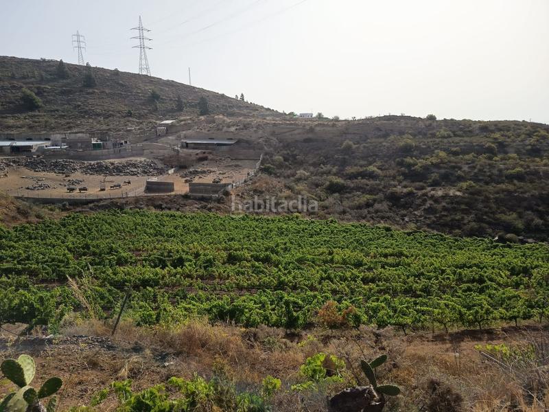 Foto dc3c40cb-735b-43f8-bed0-2bf66afde61b. Finca rústica a Arico