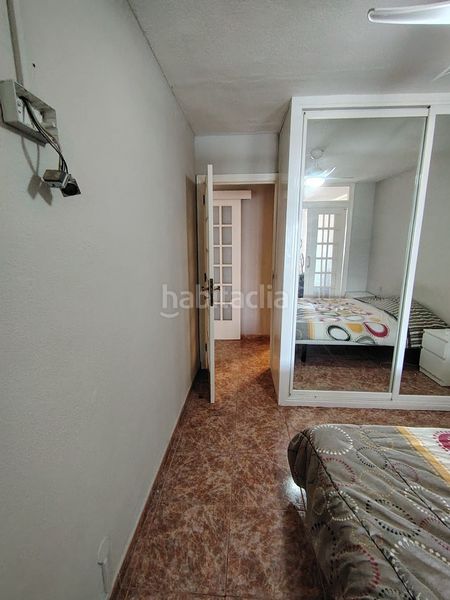 Foto 3910a509-8bff-4776-9b03-cdca0fa3944d. Pis a Tabaiba Rosario (El)