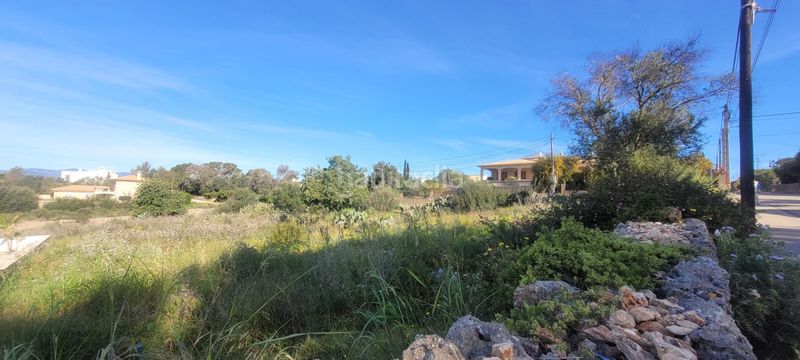 Foto 0122c1b8-4112-4eb8-aa12-c352907fd786. Terreno residencial conjunto de tres terrenos urbanos en Sa Cabaneta, en Marratxí