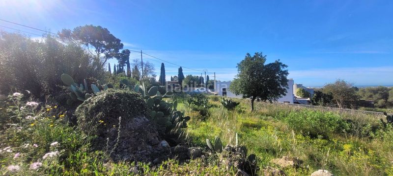 Foto 15132727-8fca-4d31-875b-ebcee7d0e12c. Terreno residencial conjunto de tres terrenos urbanos en Sa Cabaneta, en Marratxí