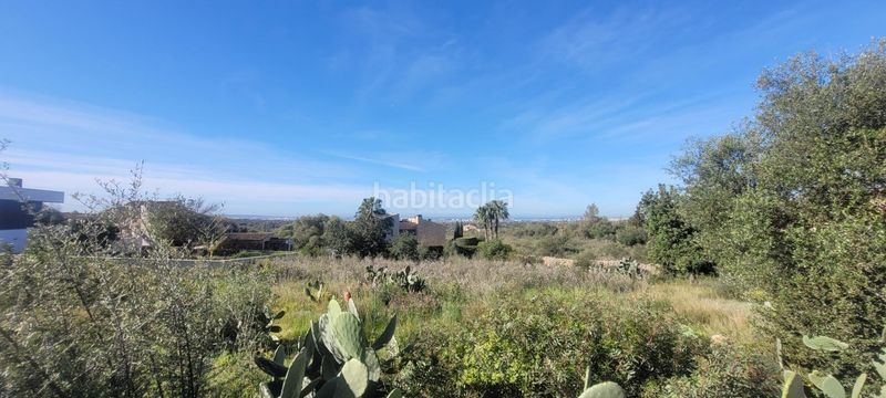 Foto 15dd1452-5e77-4d69-b144-8405b15addd3. Terreno residencial conjunto de tres terrenos urbanos en Sa Cabaneta, en Marratxí