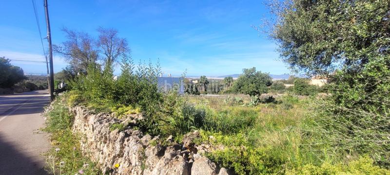 Foto 2391df54-3855-4b2a-b421-ccabe52ed665. Wohngrundstück in Sa Cabaneta Marratxí