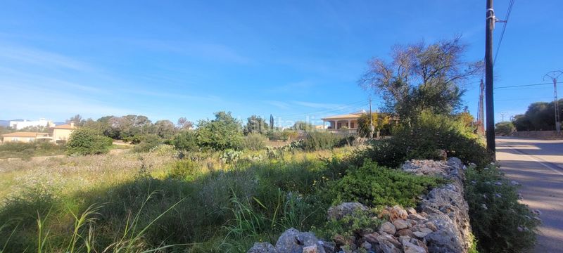 Foto 2a1c530f-93dd-4051-a9d6-ed1517f6faab. Terreno residencial conjunto de tres terrenos urbanos en Sa Cabaneta, en Marratxí